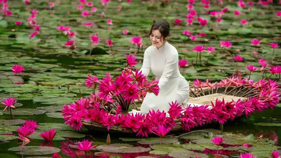 Best time to visit Vietnam